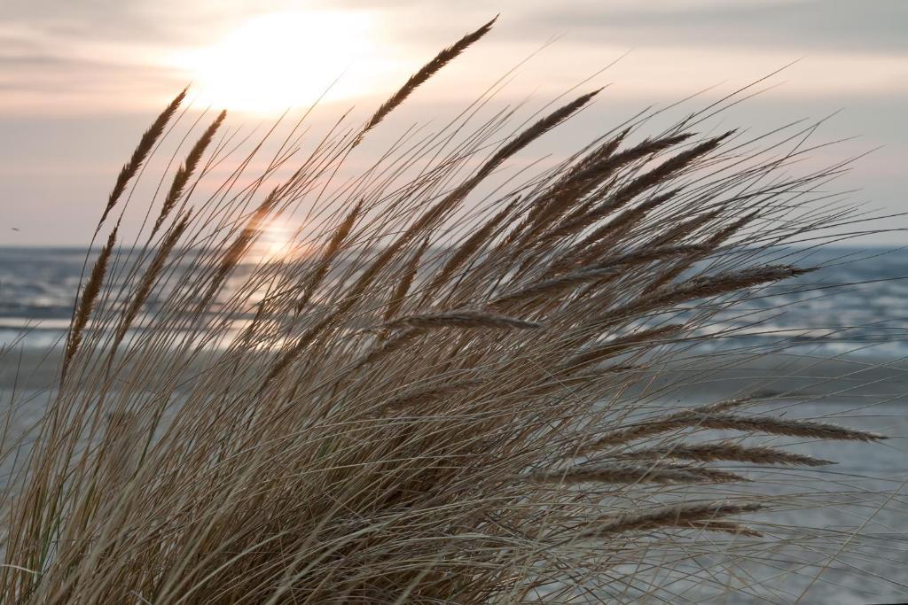Cuxland-Ferienpark Nordseebad Dorum 多鲁姆 外观 照片